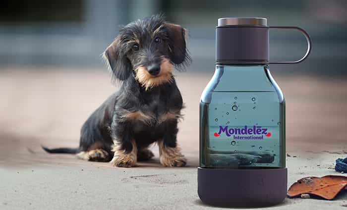 BOUTEILLE GOURDE POUR CHIEN ASOBU® - TWB20 miniature 5