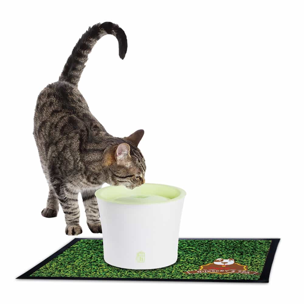 Tapis pour animaux de compagnie miniature 3