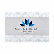 Nappe - 12" x 18" miniature 10