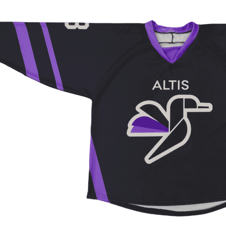 Chandail de Hockey miniature 1